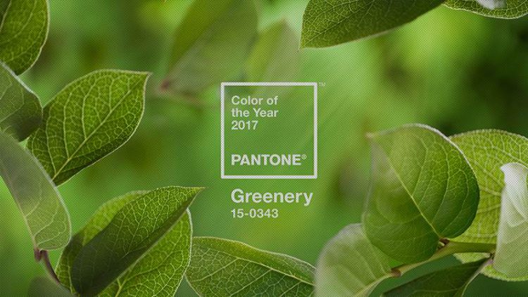 IMAGEM-A PANTONE ANUNCIOU A COR 2017-DESTAQUE