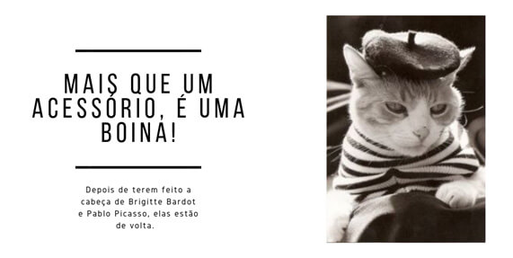 Gato de boina - Imagem 1